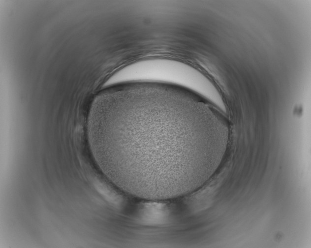 X0000091960265200709131233