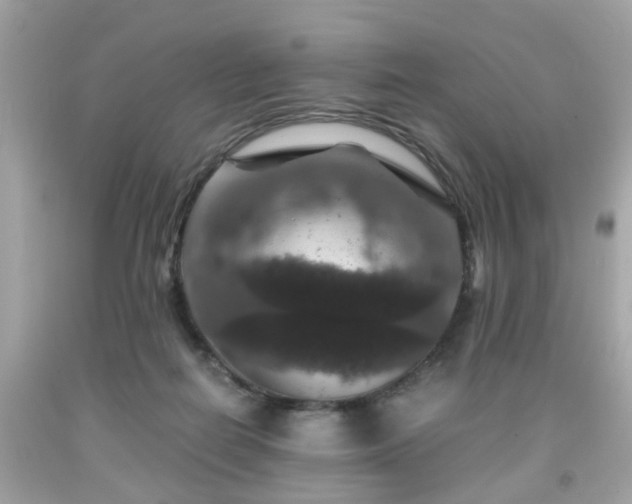 X0000091960266200709131233