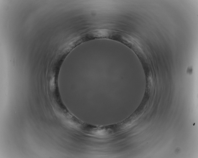 X0000091960267200709131233