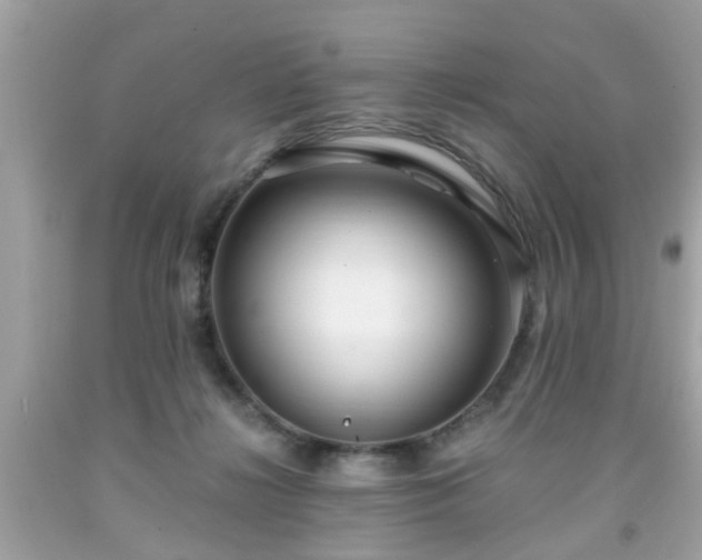 X0000091960268200709131233