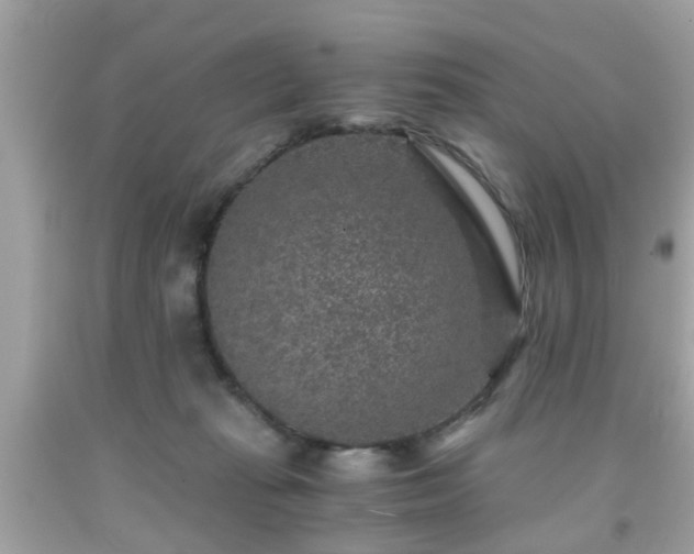 X0000091960269200709131233