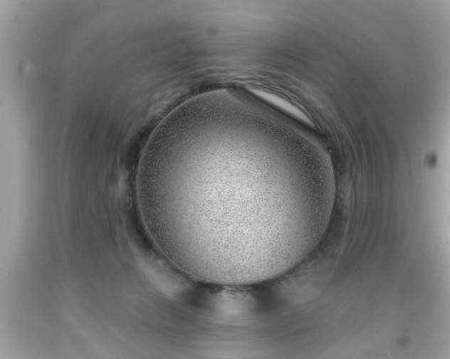 X0000091960270200709131233