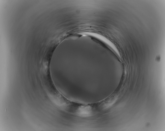 X0000091960271200709131233