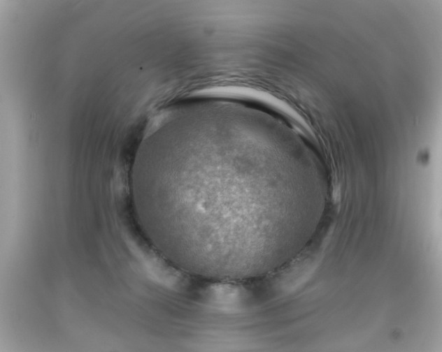 X0000091960272200709131233