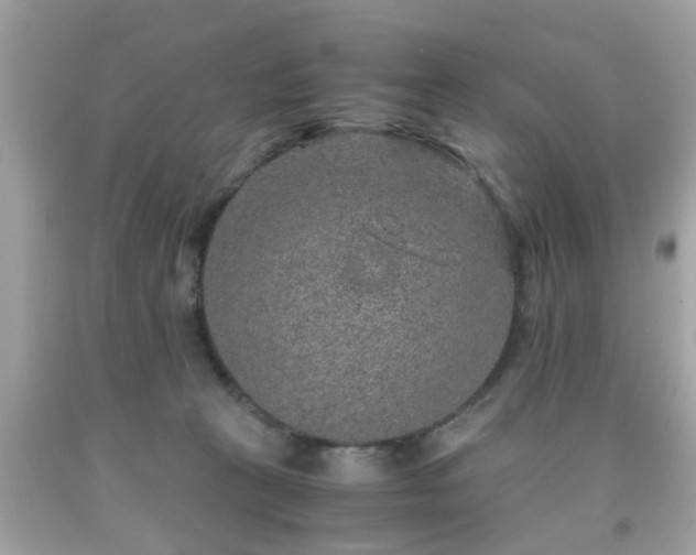 X0000091960273200709131233