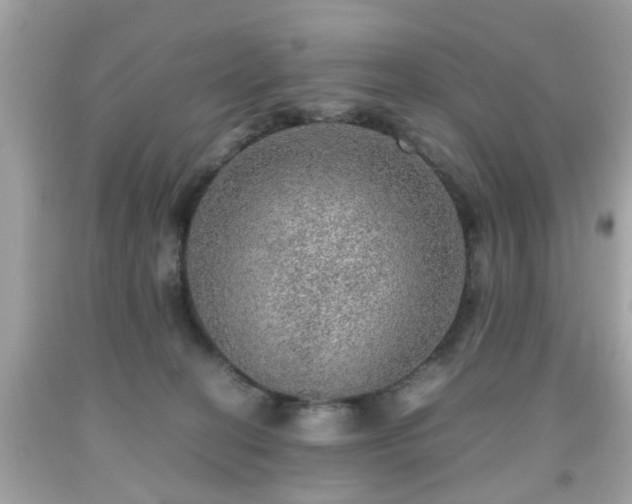 X0000091960274200709131233