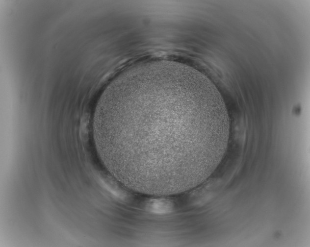 X0000091960275200709131233