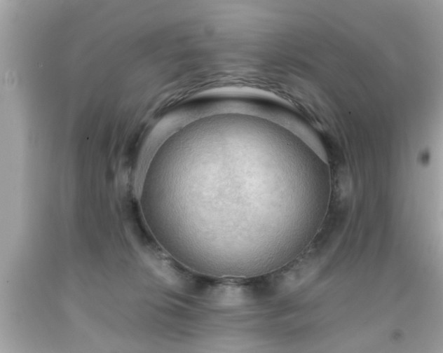 X0000091960276200709131233