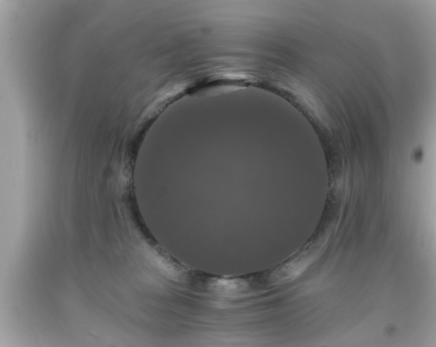 X0000091960277200709131233