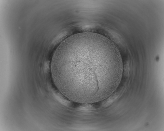 X0000091960278200709131233