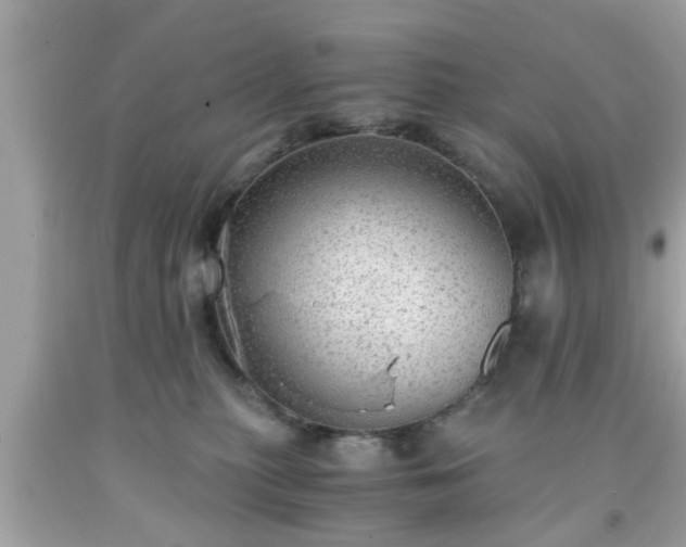 X0000091960279200709131233