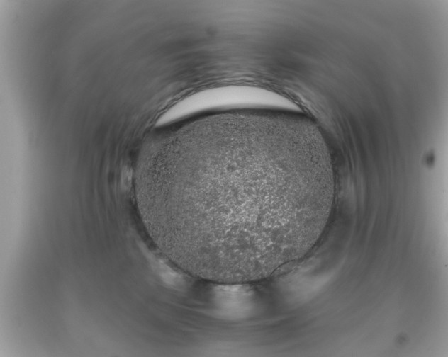 X0000091960281200709131233