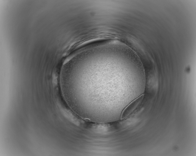 X0000091960282200709131233