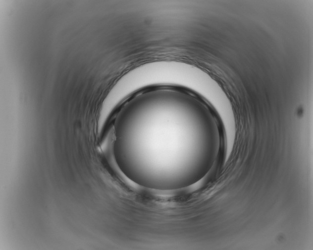 X0000091960284200709131233