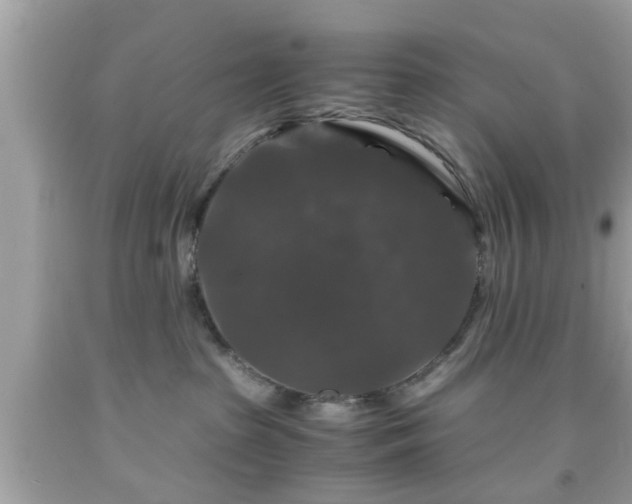 X0000091960285200709131233