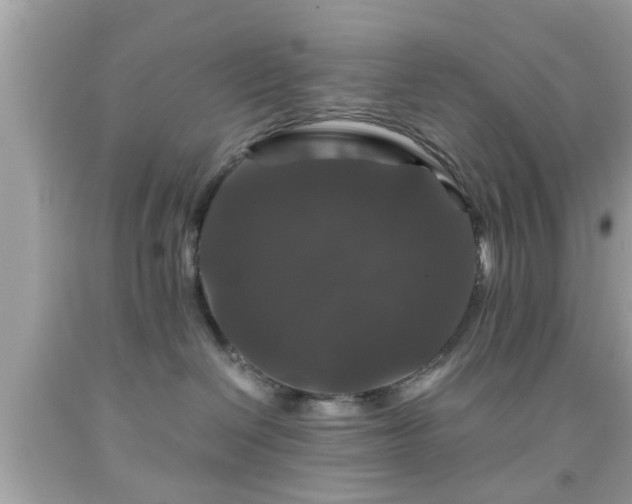 X0000091960286200709131233