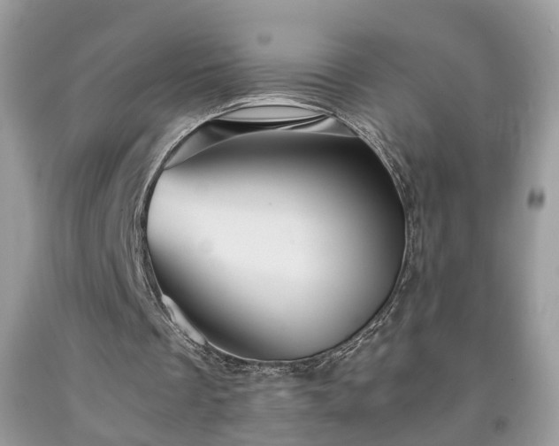 X0000091960289200709131232