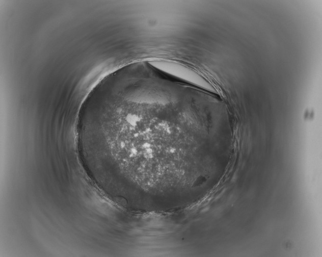 X0000091960290200709131232