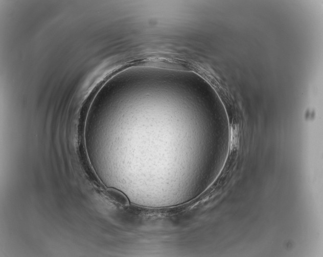 X0000091960291200709131232