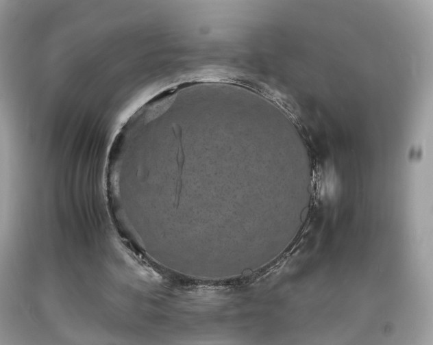 X0000091960292200709131232