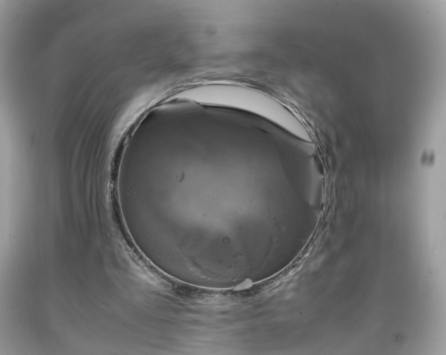 X0000091960293200709131232