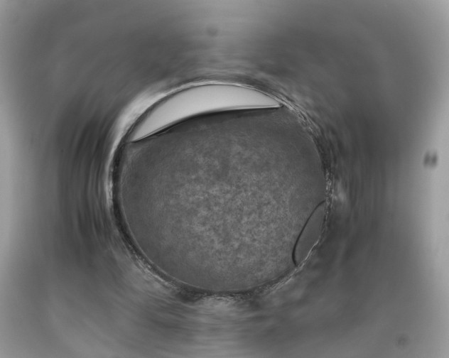 X0000091960294200709131232