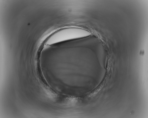 X0000091960295200709131232