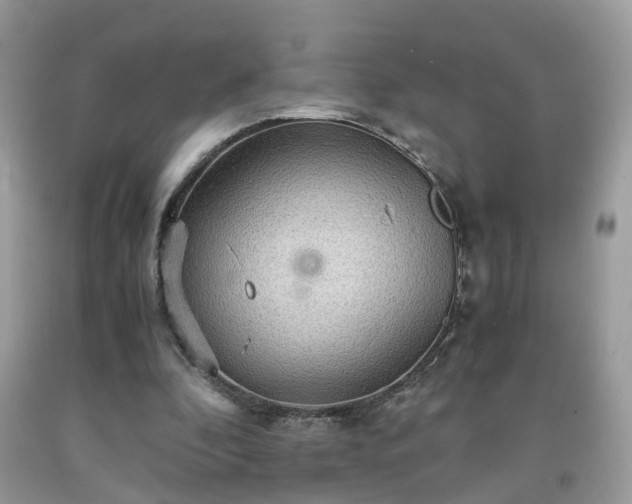 X0000091960296200709131232