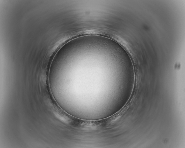 X0000091960297200709131232