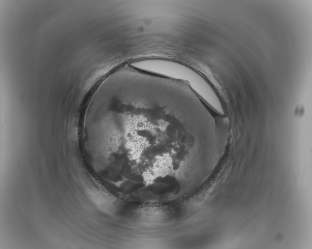 X0000091960299200709131232