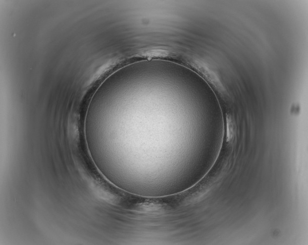 X0000091960300200709131232