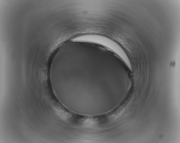 X0000091960303200709131232