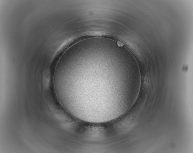 X0000091960304200709131232