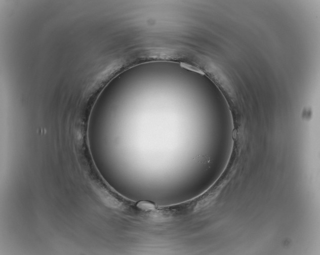 X0000091960305200709131232