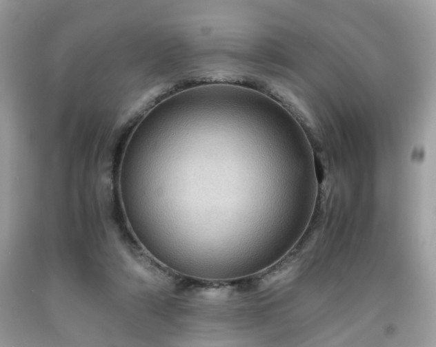 X0000091960306200709131232