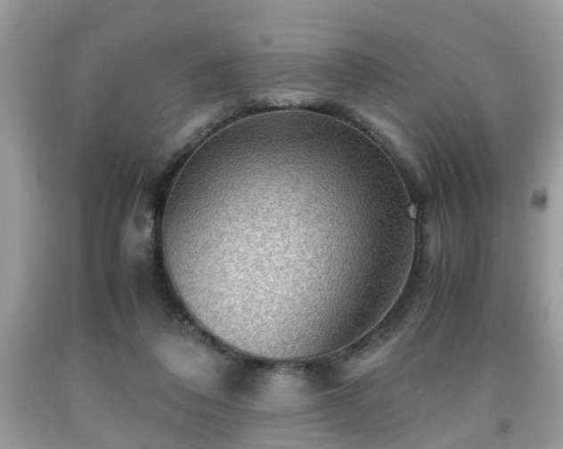 X0000091960308200709131232