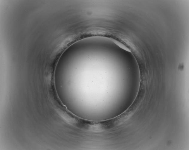 X0000091960309200709131232