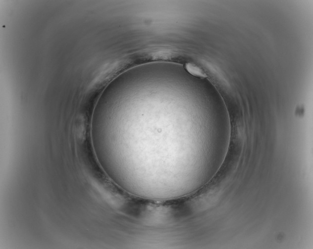 X0000091960311200709131232