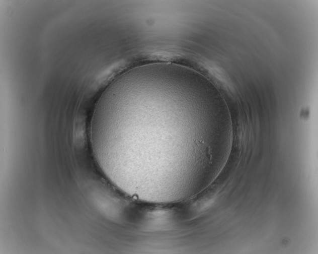 X0000091960312200709131232