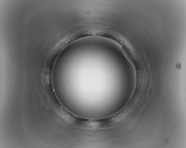 X0000091960313200709131232