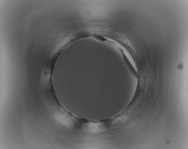 X0000091960314200709131232