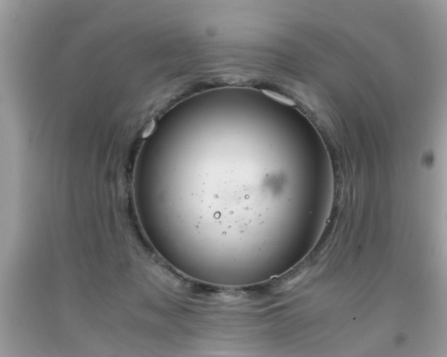 X0000091960317200709131232