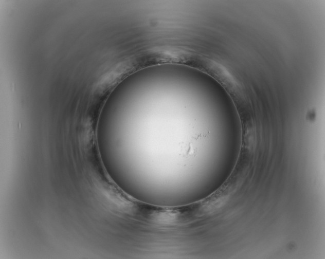 X0000091960318200709131232