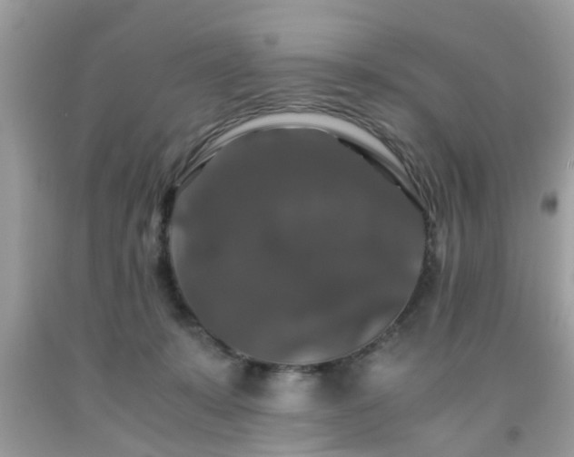 X0000091960319200709131232