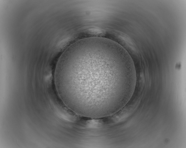 X0000091960320200709131232