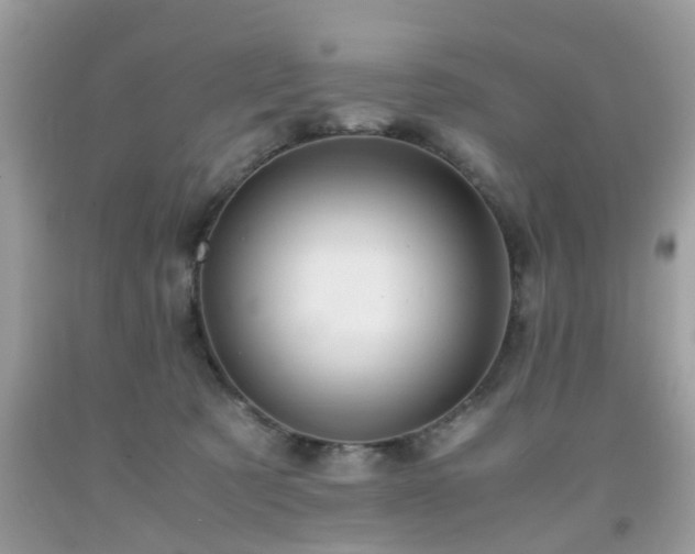 X0000091960321200709131232