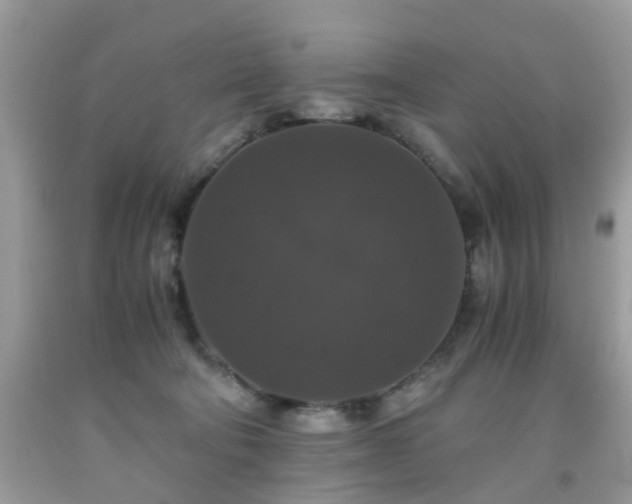 X0000091960322200709131232