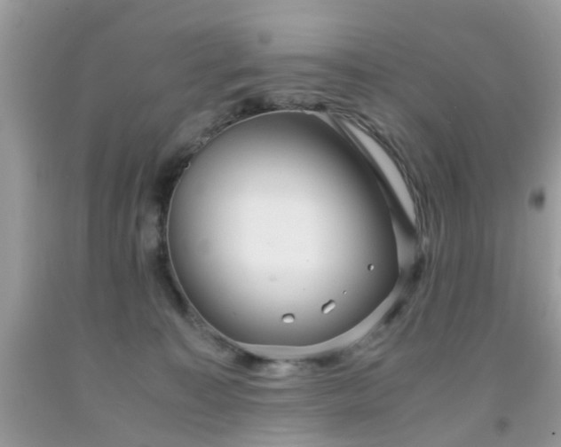 X0000091960323200709131232