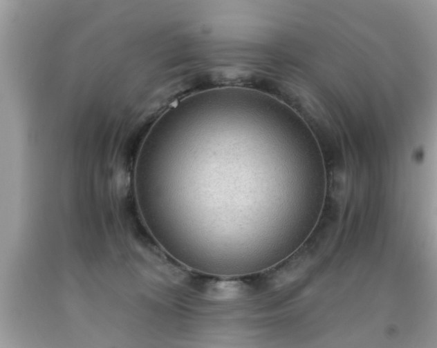 X0000091960324200709131232