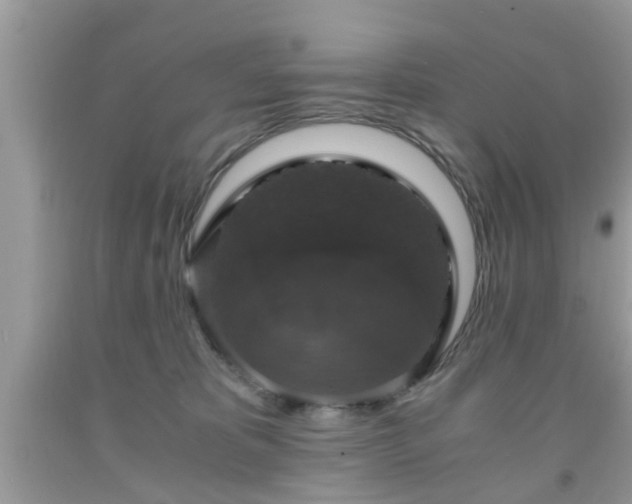 X0000091960325200709131232